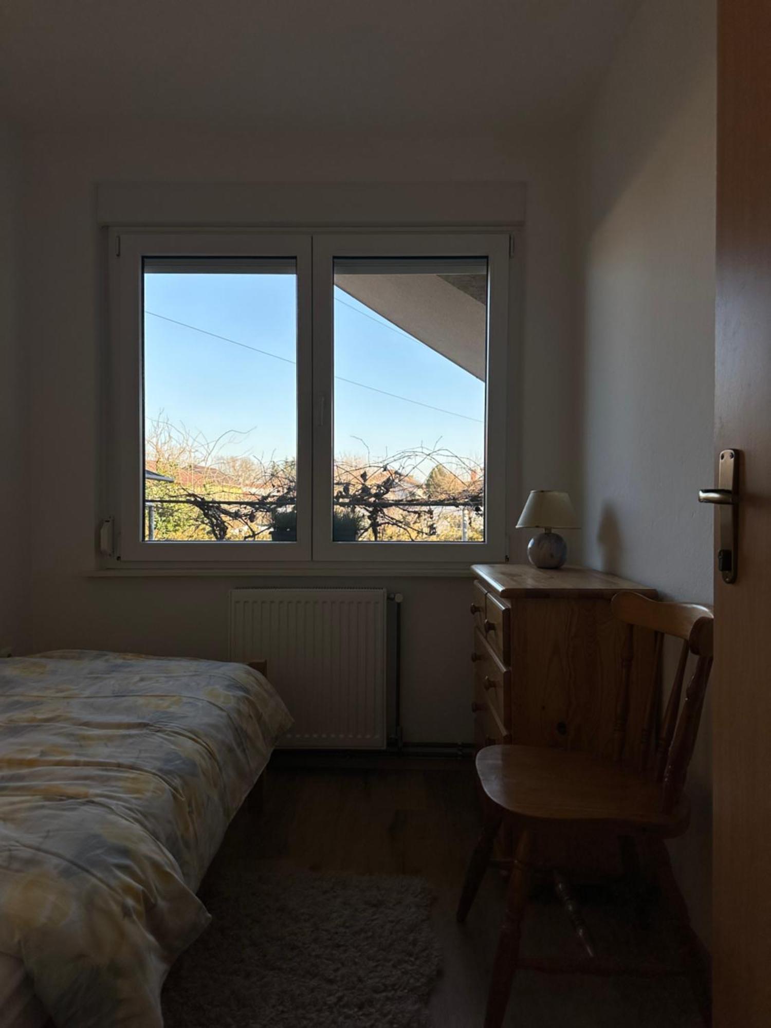 Vanessa Apartment Ljubljana Eksteriør billede